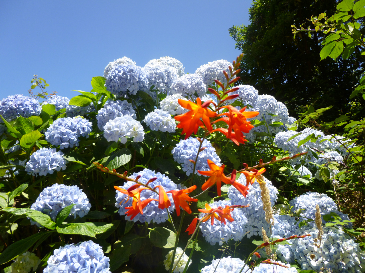 Madeira