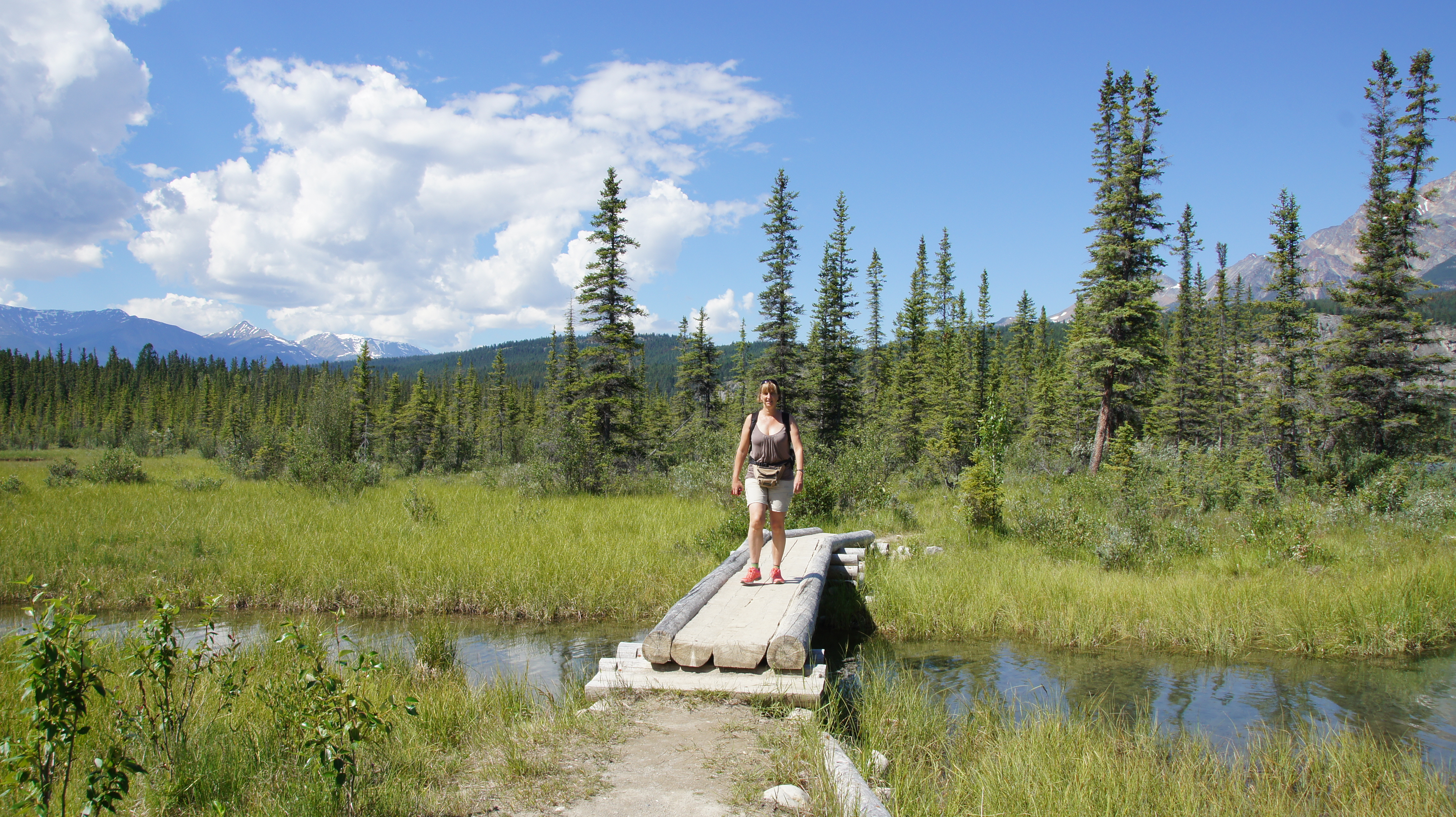 Der Tag in Jasper Isabelladonnas Ulletrulle