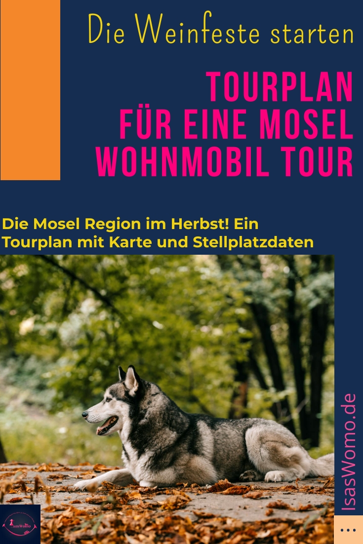 7 Tage Wohnmobil Mosel Tour IsasWomo