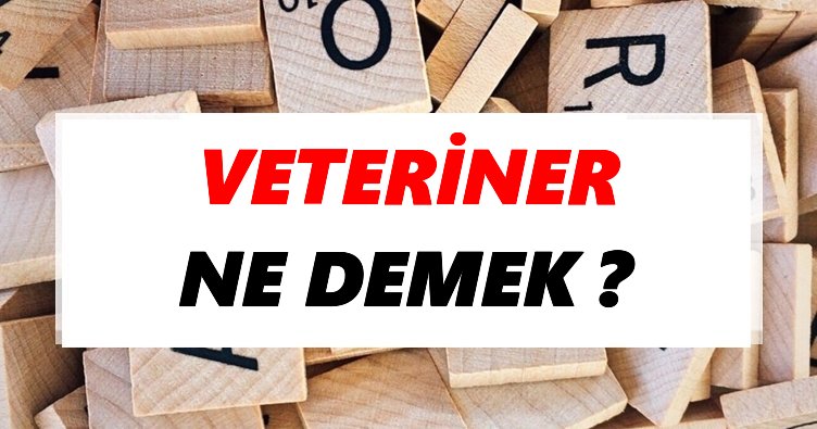 Veteriner Ne Demek? TDK’ya Göre Veteriner Sözlük Anlamı Nedir? Tdk