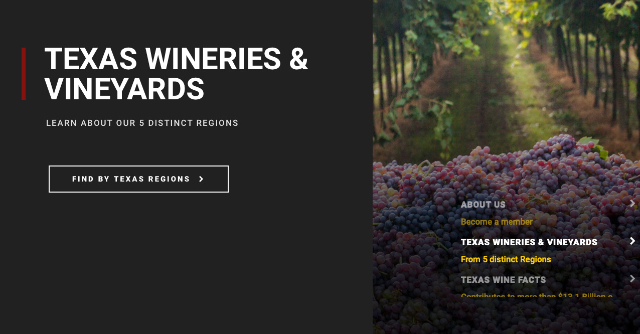 Texas Wine & Grape Growers Association iScan 360 Branding San Antonio