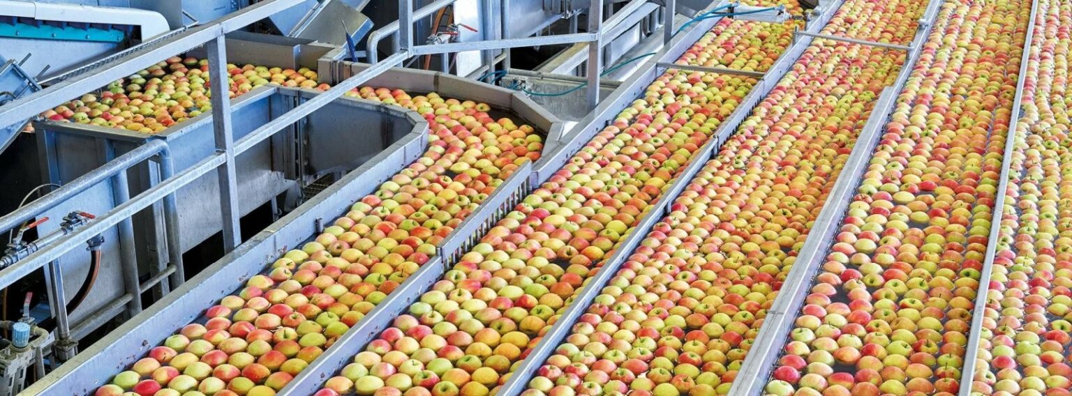 Fruit Processing Plant ISD Engineering