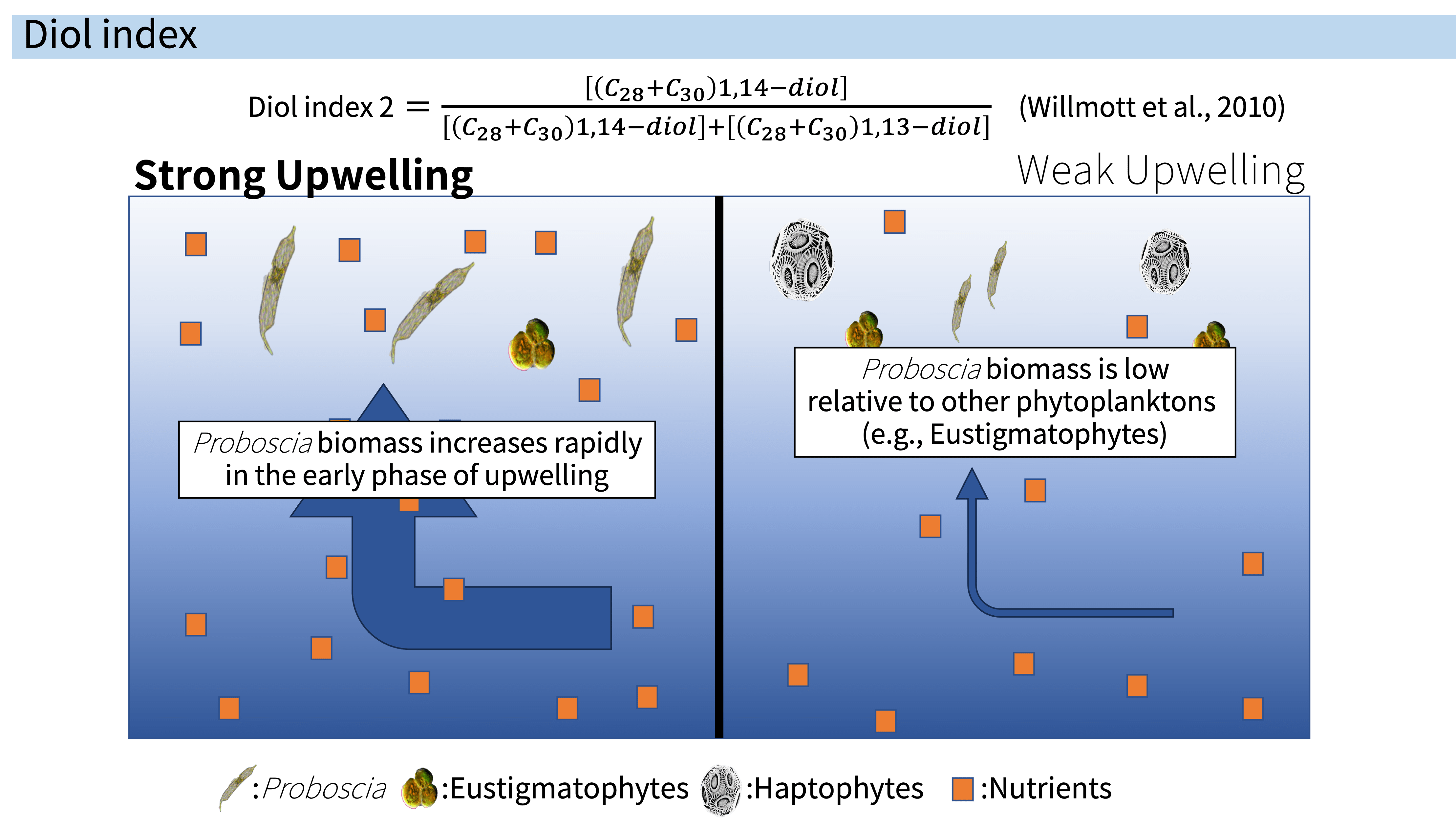 IDS Oral Presentation Award to Kotaro Hoshi International Society for