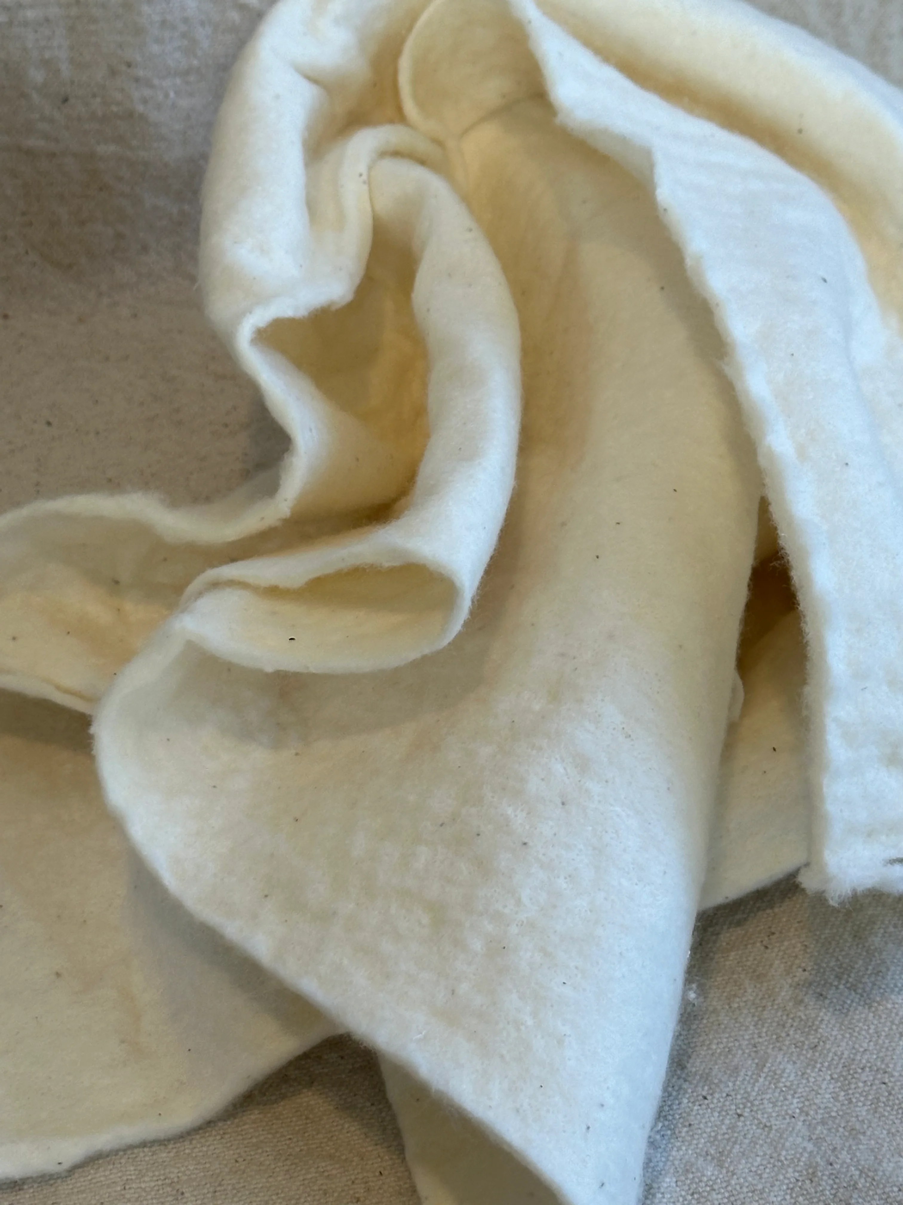 Organic + Recycled Cotton Collection Isee fabric