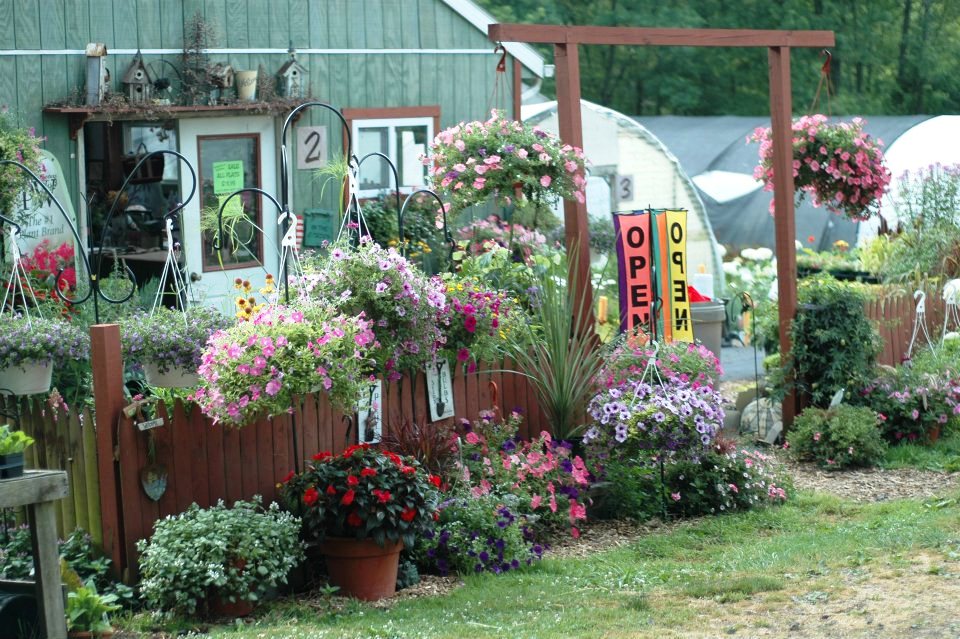 Manda’s Plant Farm Has Events & Gardening Specials HourGlass