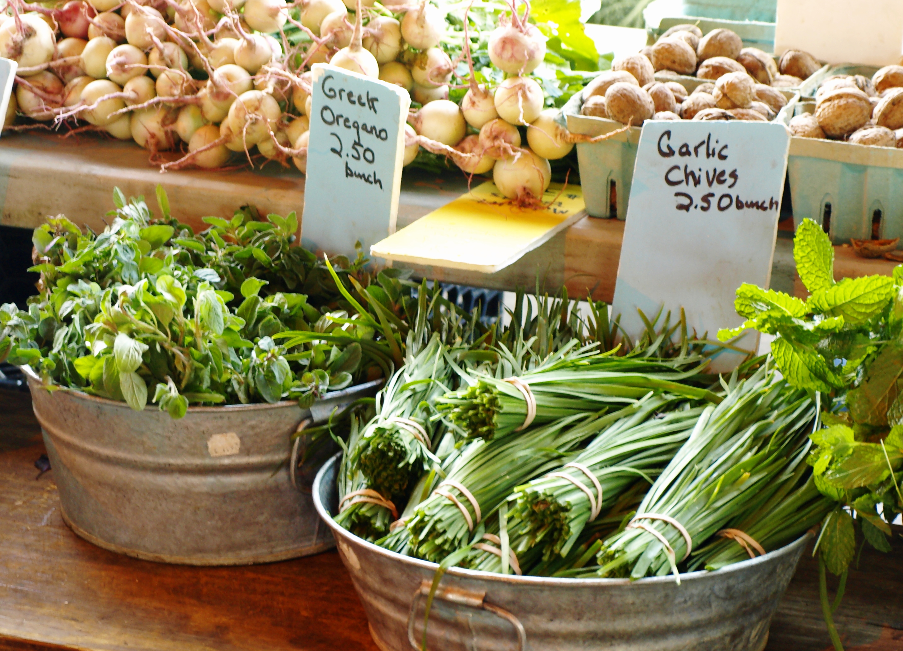 October 2008 I Should Cocoa!