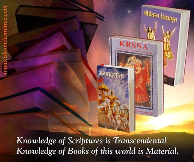 ISKCON Book Distribution Poster 009 ISKCON Book Distribution