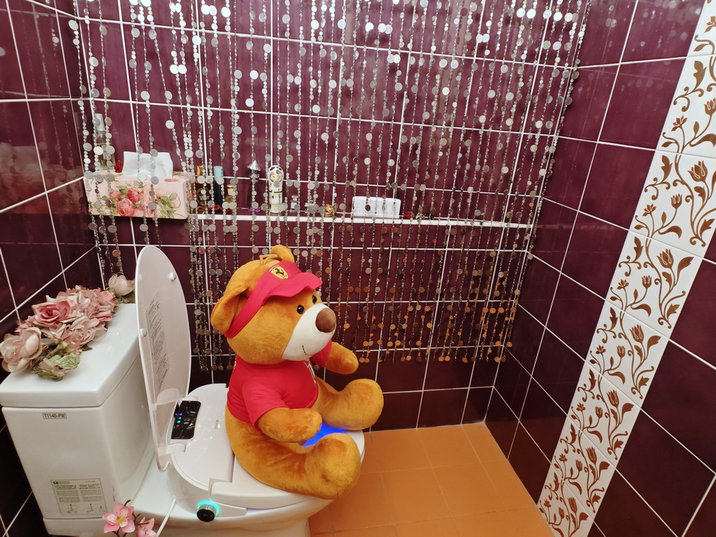 家中最值得投資的舒適小物【DIKE瞬熱式溫水潔淨便座尊緻版】小改變大舒適居家升級的關鍵.