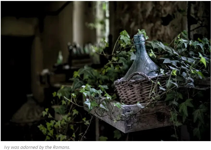 Twelve Christmas Traditions With Pagan Origins Islam Compass