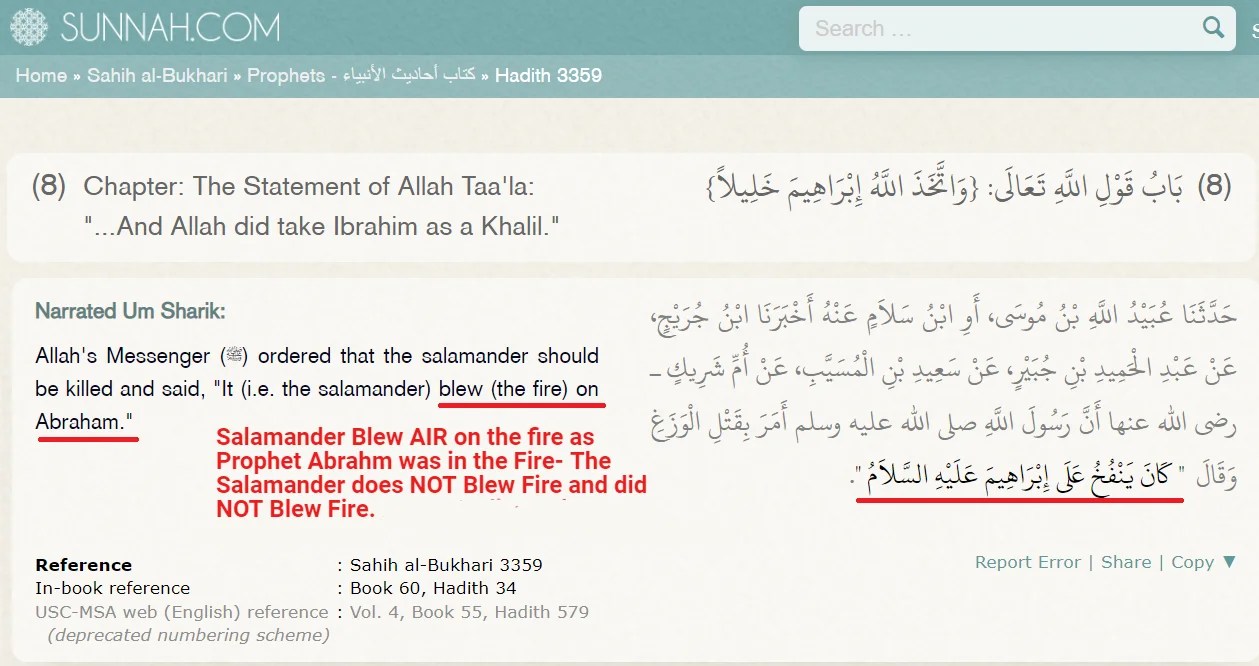 Clearing misconceptions about the Salamander Hadith, did Islam Tell us