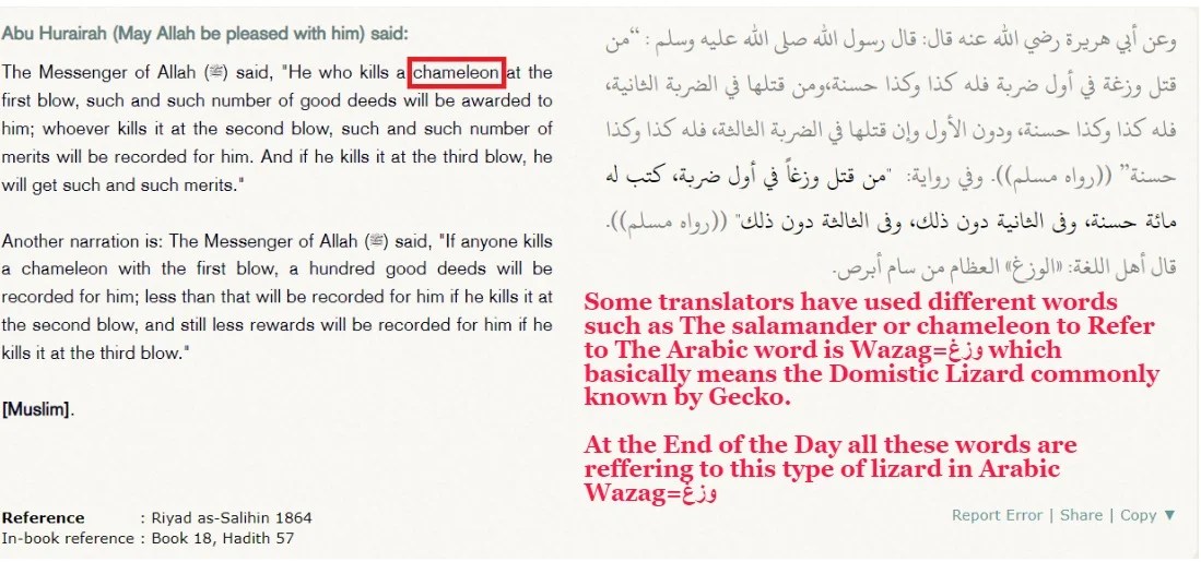 Clearing misconceptions about the Salamander Hadith, did Islam Tell us