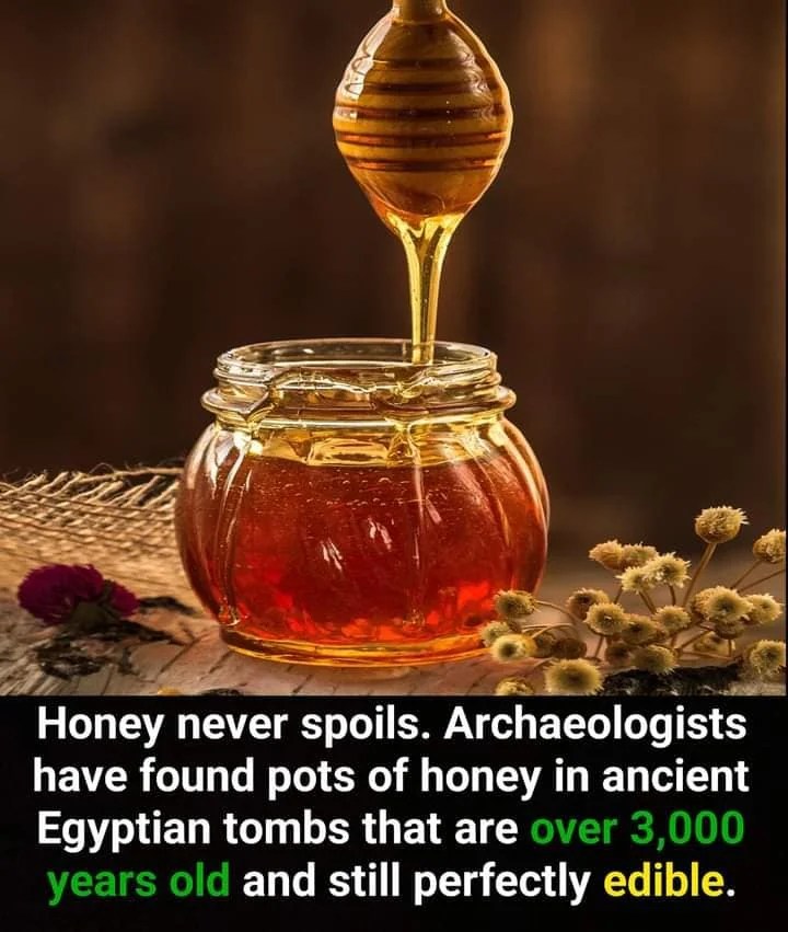 Health Benefits of Honey Islam Compass