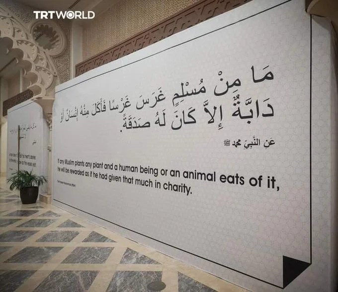 Qatar Displays Prophetic Hadith Ahead Of FIFA World Cup To Introduce