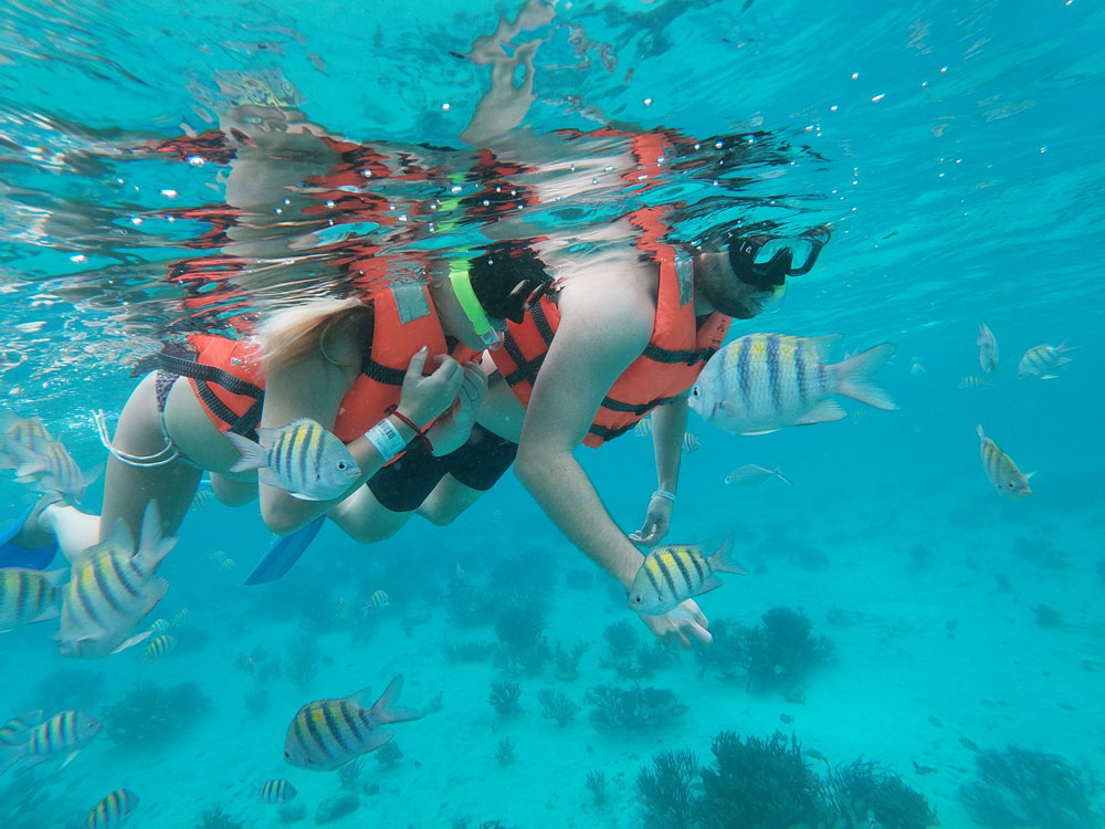 Snorkel Isla Mujeres Xtreme Snorkel Shared Snorkel Isla Mujeres