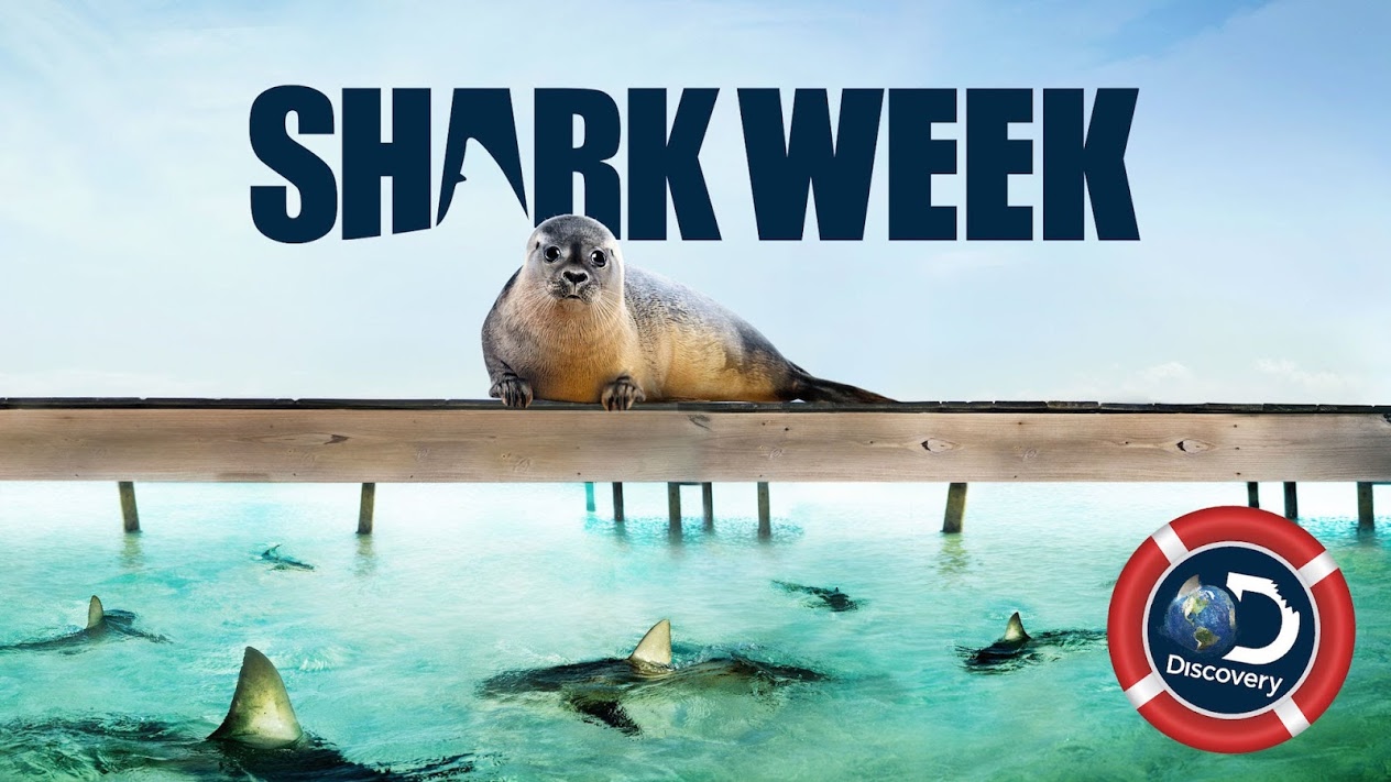 sharkweekpromo Islander Charters