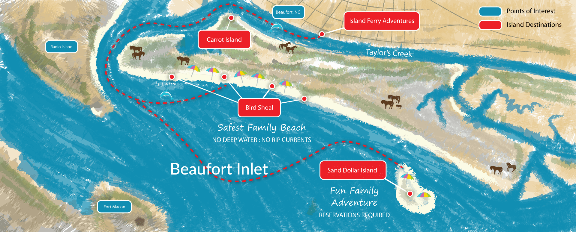 Island Ferry Adventures Ferry to Wild Horses, Shells, Sand Dollars, Safe Swimming Beaches, Cape