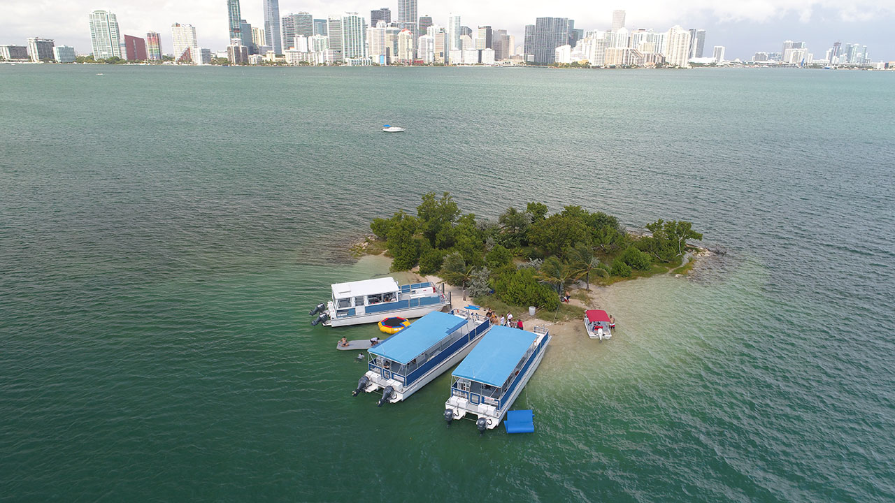 Your Guide to Spring Break in Miami The Miami Traveler