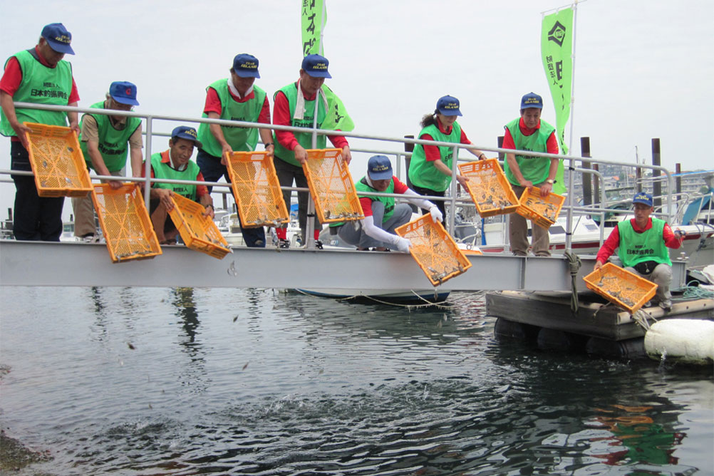 （財）日本釣振興会兵庫県支部主催、第29回稚魚放流事業