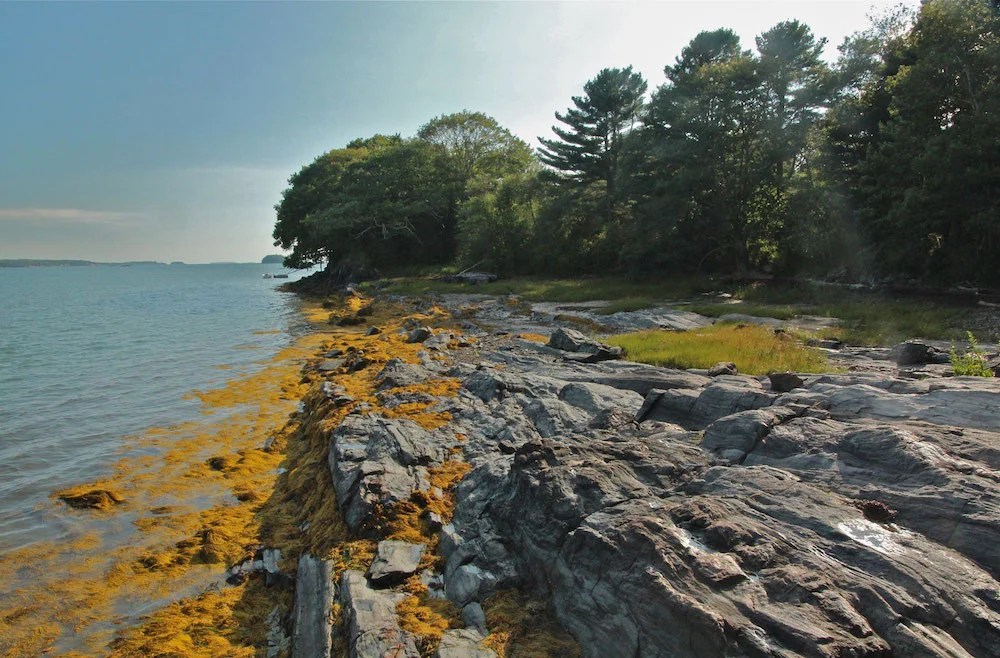 Birch Island Travel Guide 2024 Isle Keys