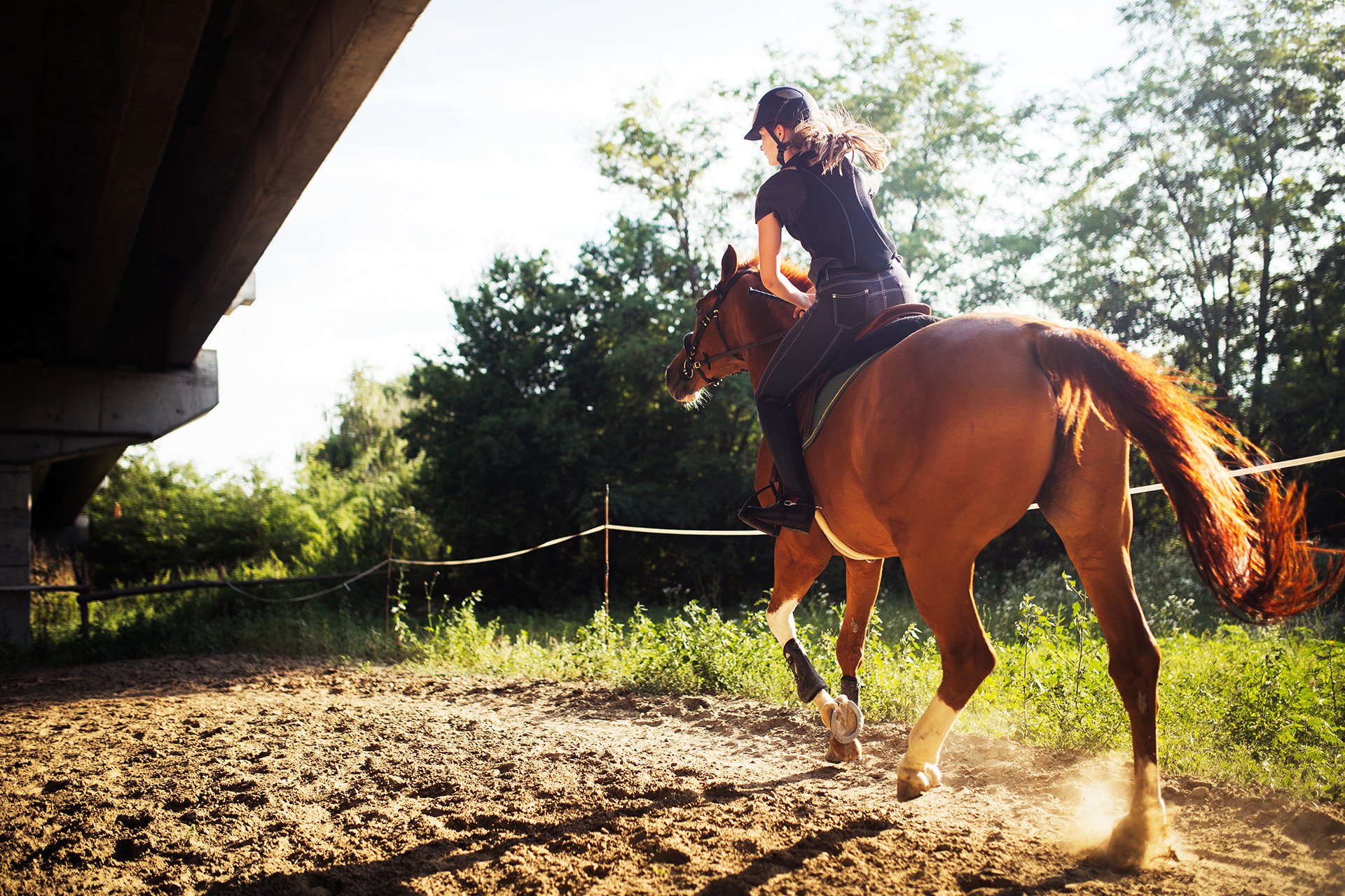 Horse Riding Visit the Isle of Wight