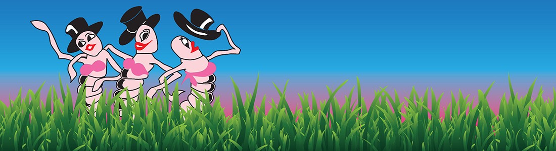 worm grunting festival 2023 to the Worm Gruntin’ Festival! Discover Beautiful St. Island Florida