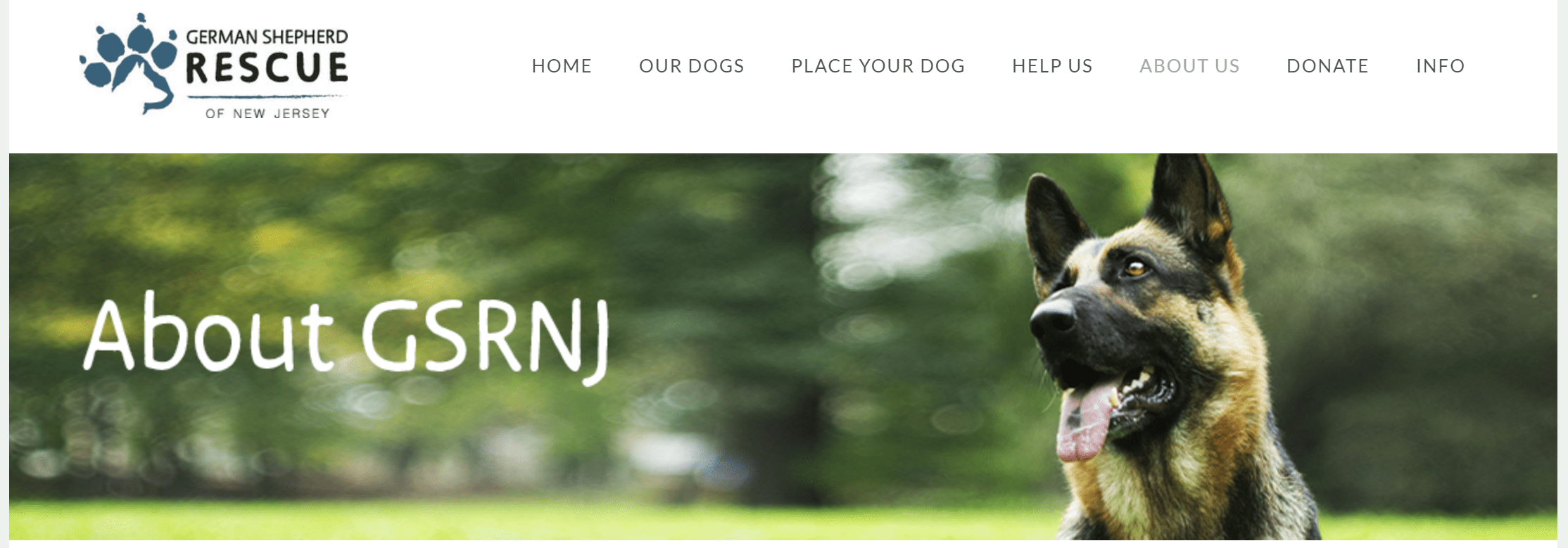 HTML Work Home of the Drivel Slingshot