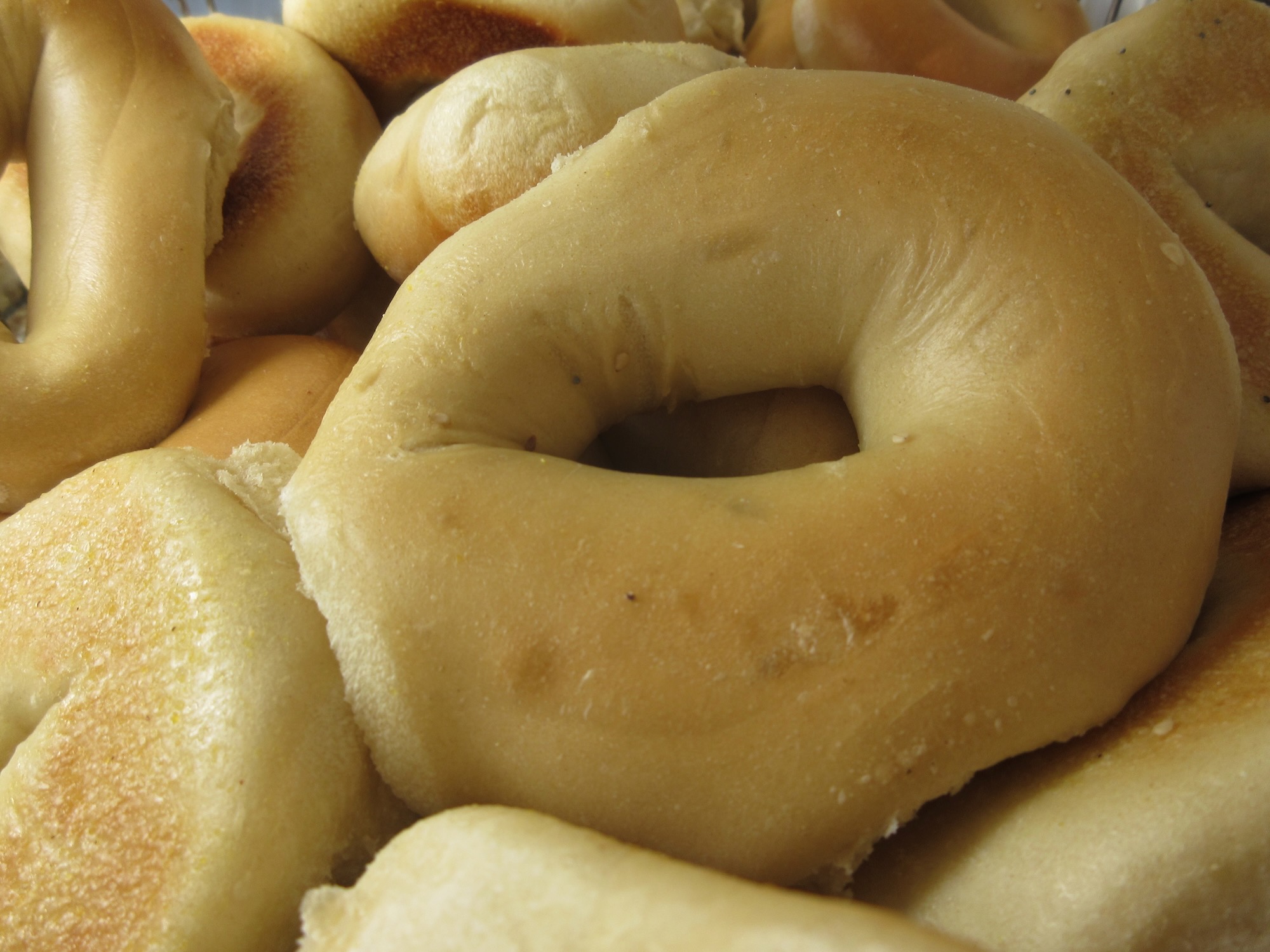 Kettle Bagels are Delicious BAGELS and MORE