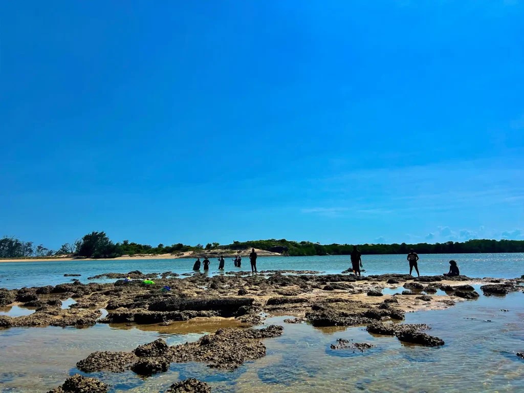 Impact North Ian & Shirley Norman Foundation(09)