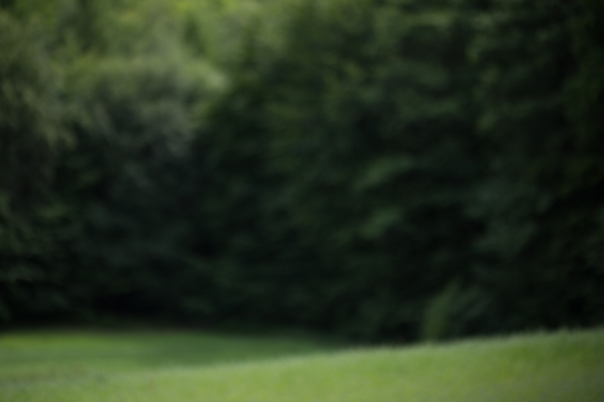 Portrait Backgrounds For