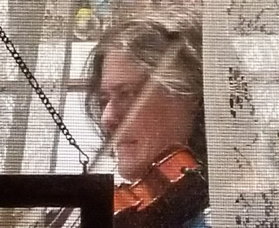 Spotlight on Jennifer Greenlee Musicians of the Indianapolis Symphony