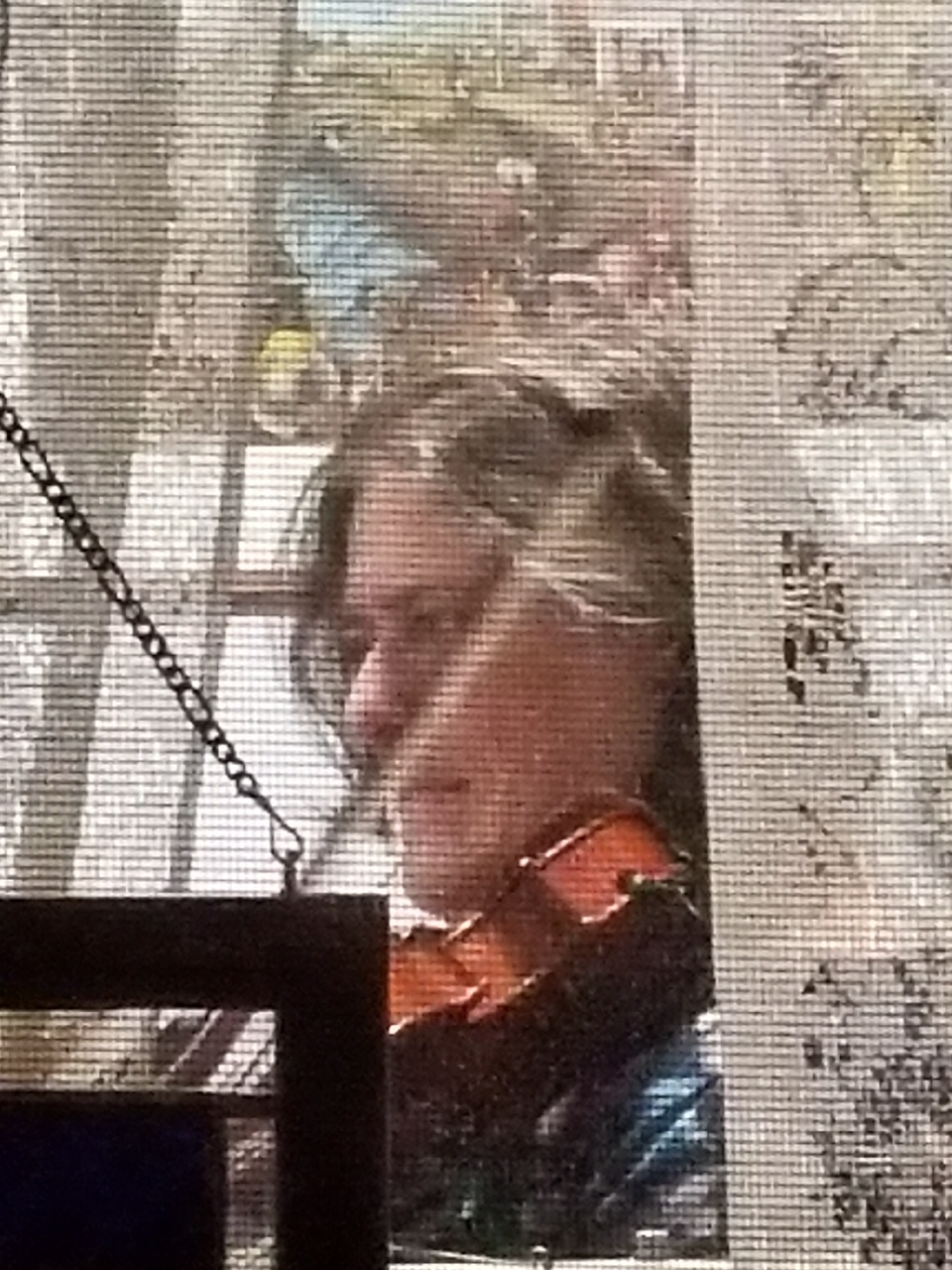 Spotlight on Jennifer Greenlee Musicians of the Indianapolis Symphony