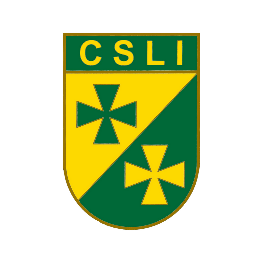 Europe & Russia Regional Network ISPCAN