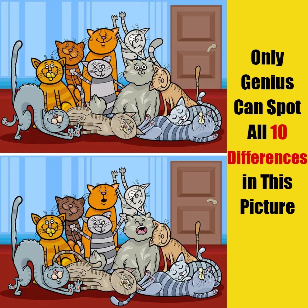 Check Your Vision and Find the Differences in This Picture