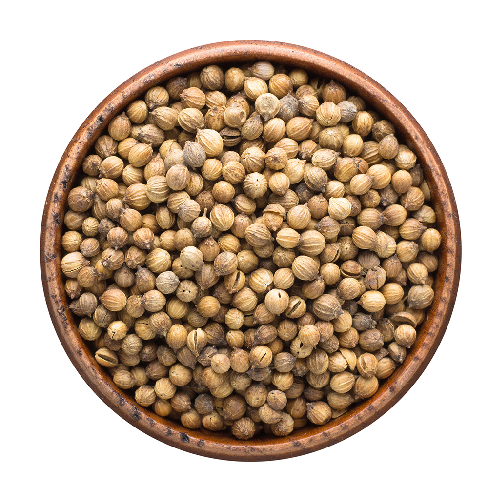 Coriander iSpicePros