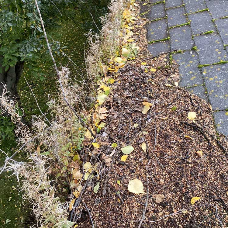 Gutter Installation & Cleaning Company Anchorage SpitShine Rain