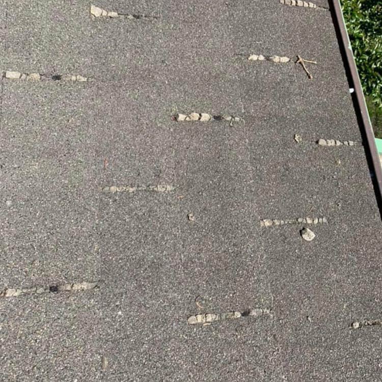 Roof Cleaning Services Anchorage SpitShine Gutter Cleaning