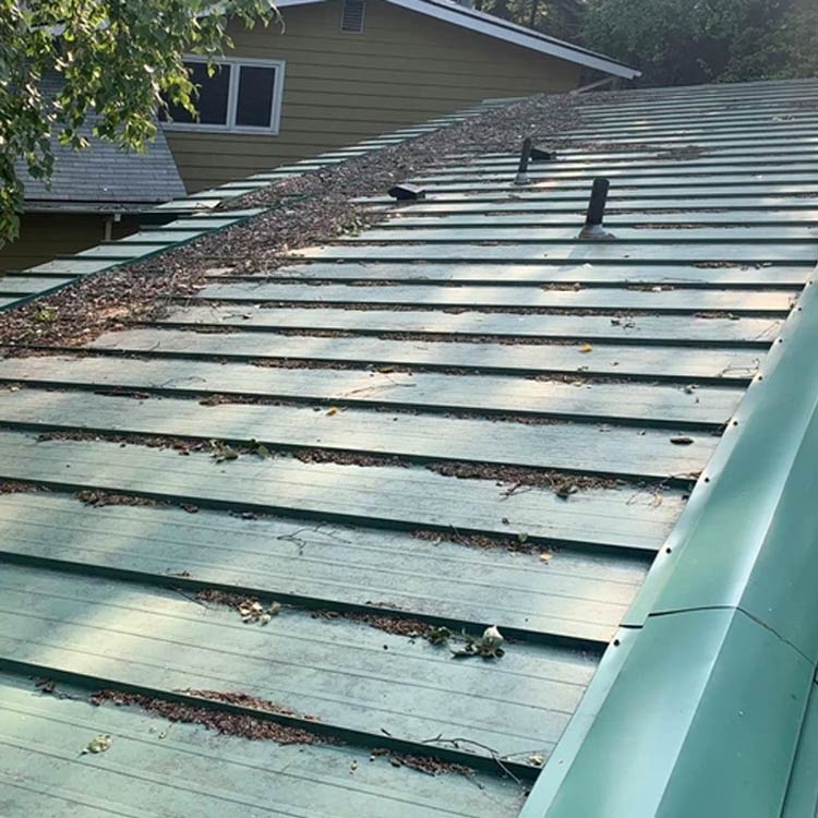 Roof Cleaning Services Anchorage SpitShine Gutter Cleaning