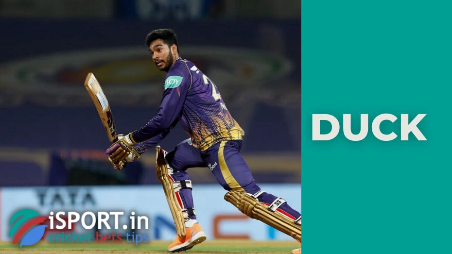 Duck in cricket the main meaning of the term in the game