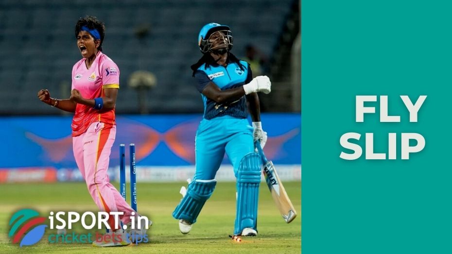 Fly slip what does the term mean in cricket