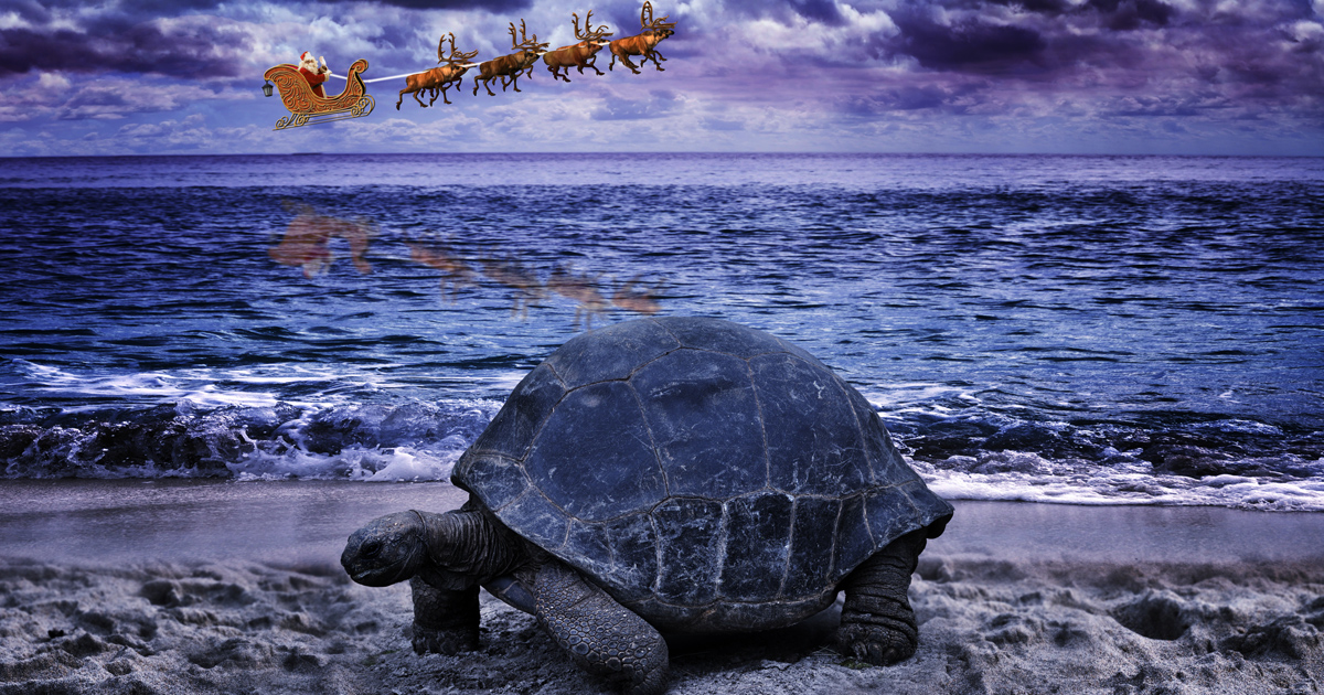 Galapagos Islands Christmas 2023 Galápagos Islands at Christmas Santa Claus Pictured While Flying