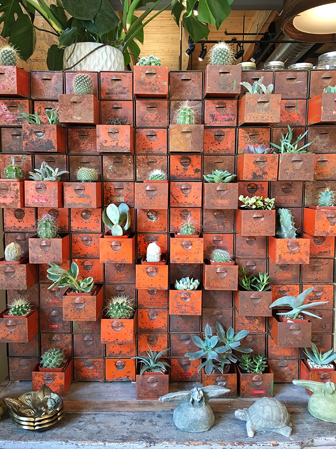 DIY INSPIRATION File Succulent Storage I SPY DIY