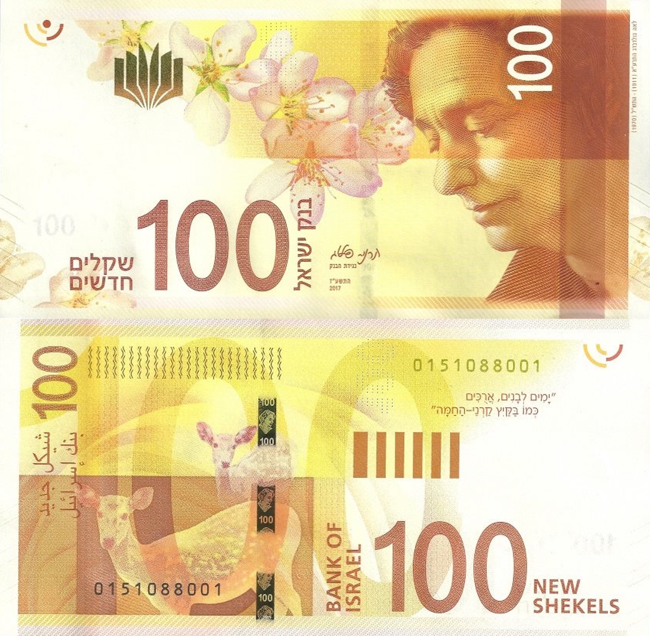 New Shekel Is Introduced CIE