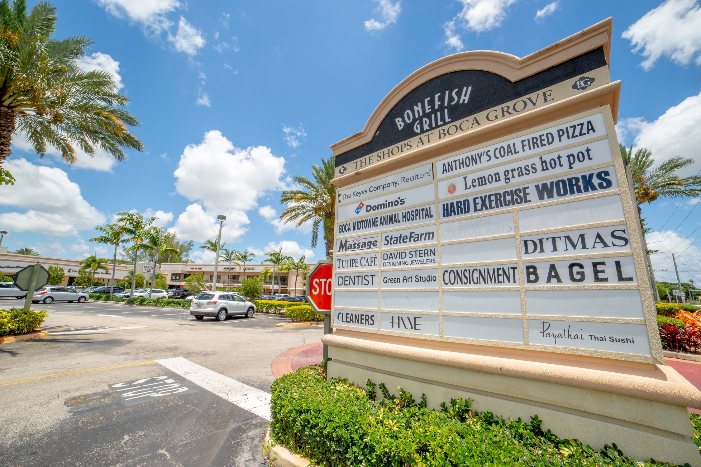 Tlc Animal Hospital Boca Raton Blog Information