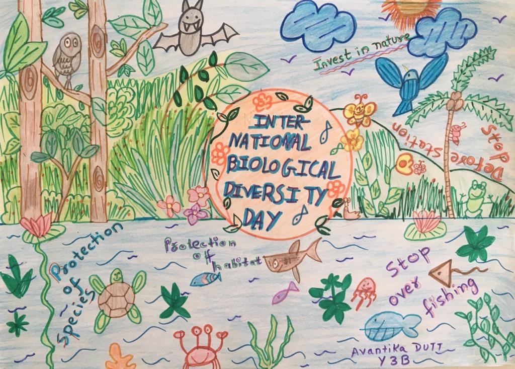 International Day for Biological Diversity 2023 May 22, 2023