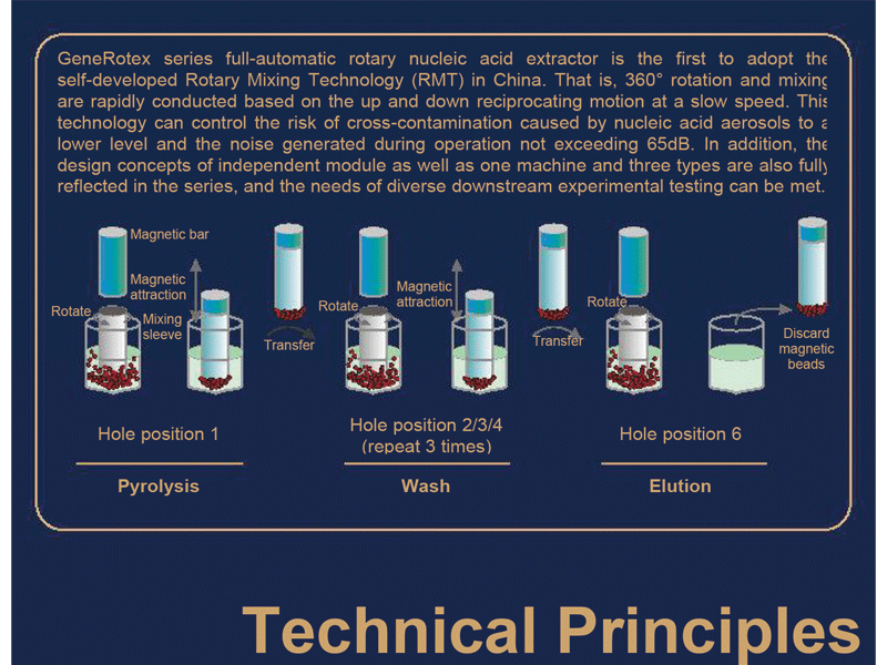 TIANLONG Generotex 96 PT Inter Royal Mediline
