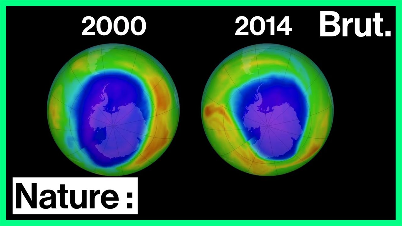 Couche d'ozone Histoire d'une successstory