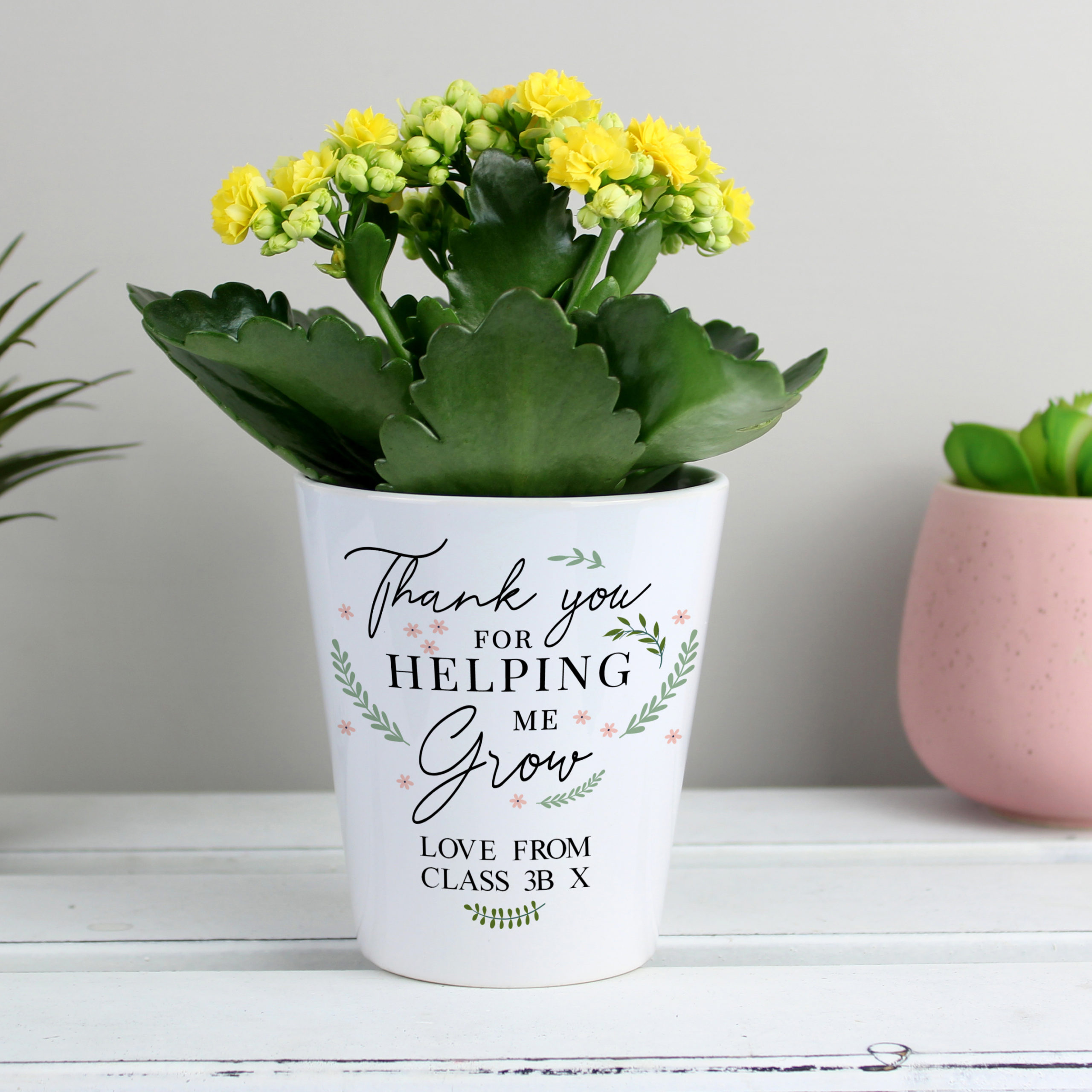 Personalised Thank You For Helping Me Grow Plant Pot Gift
