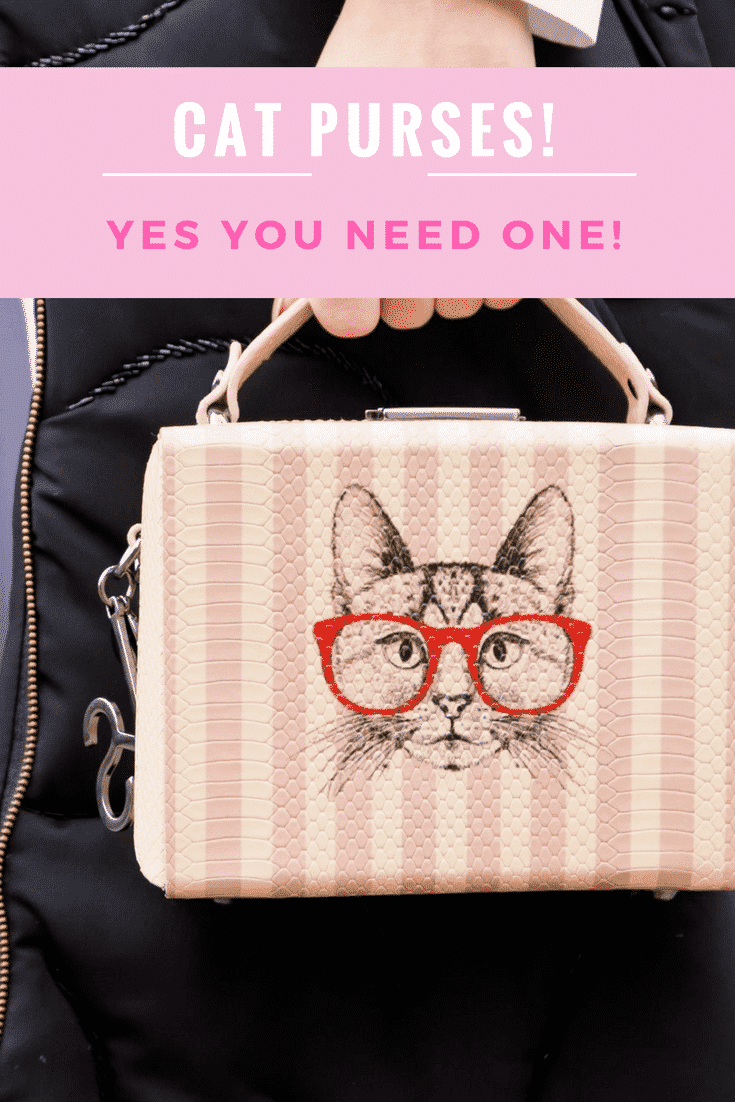 Spotlight On Super Awesome Cat Purses And Bags