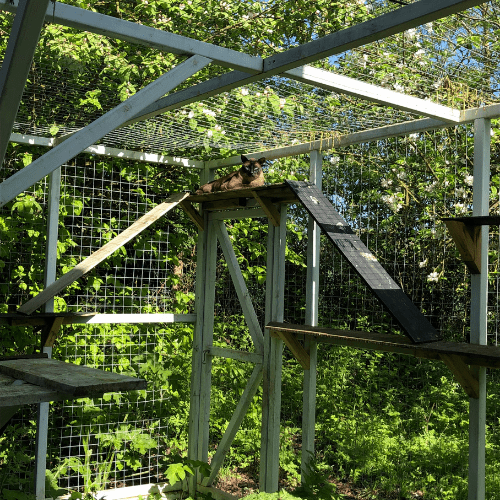 How To Keep My Cats In My Yard Workable Ideas