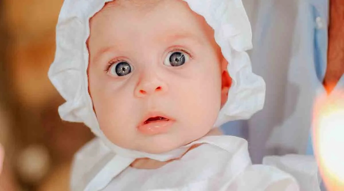 Site mostra o mundo quando sua mãe engravidou ISTOÉ Independente